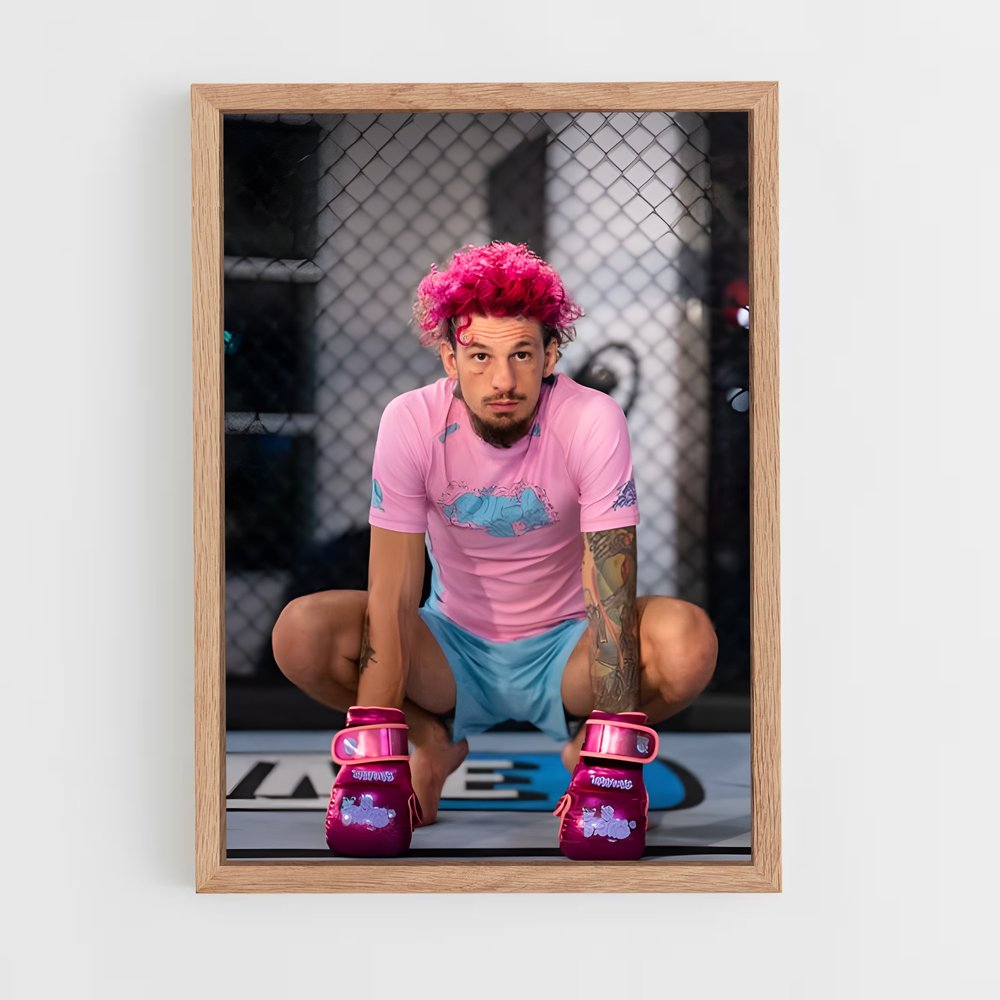 Poster Sean O'malley – affiche MMA (vue 4)